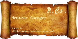 Mentzer Csenger névjegykártya